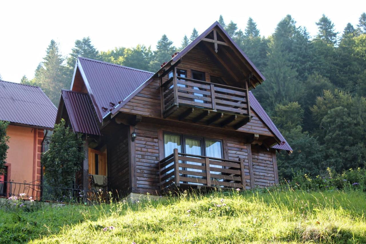 Cottage "Karpatske Shale" Jaremcze Zewnętrze zdjęcie