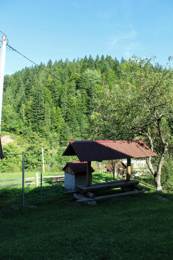 Cottage "Karpatske Shale" Jaremcze Zewnętrze zdjęcie