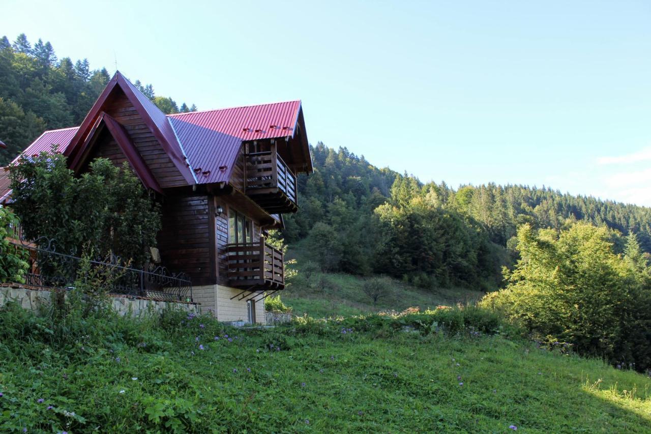 Cottage "Karpatske Shale" Jaremcze Zewnętrze zdjęcie