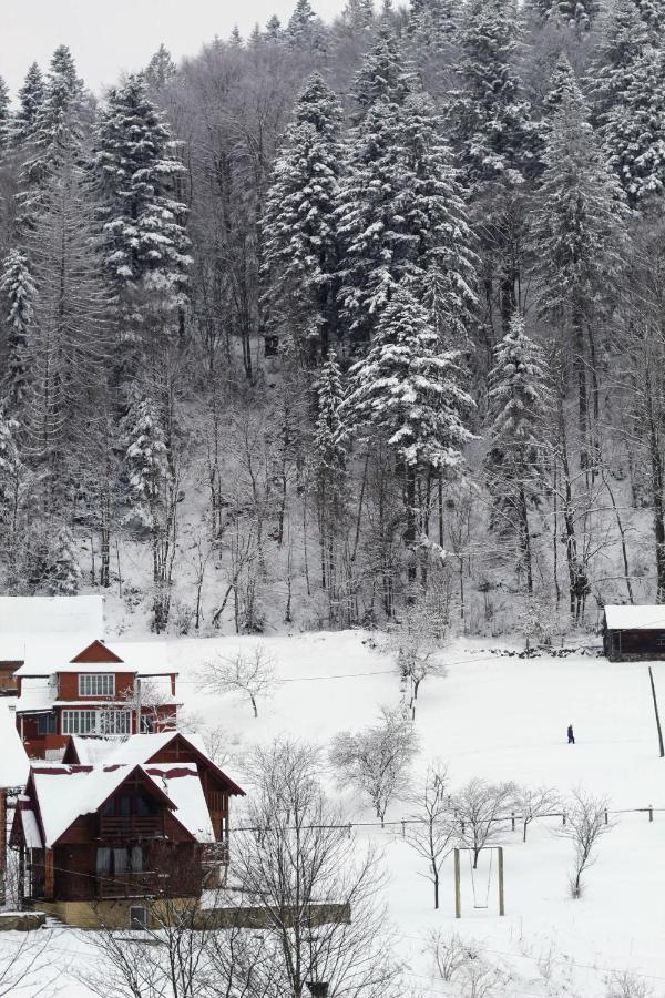Cottage "Karpatske Shale" Jaremcze Zewnętrze zdjęcie
