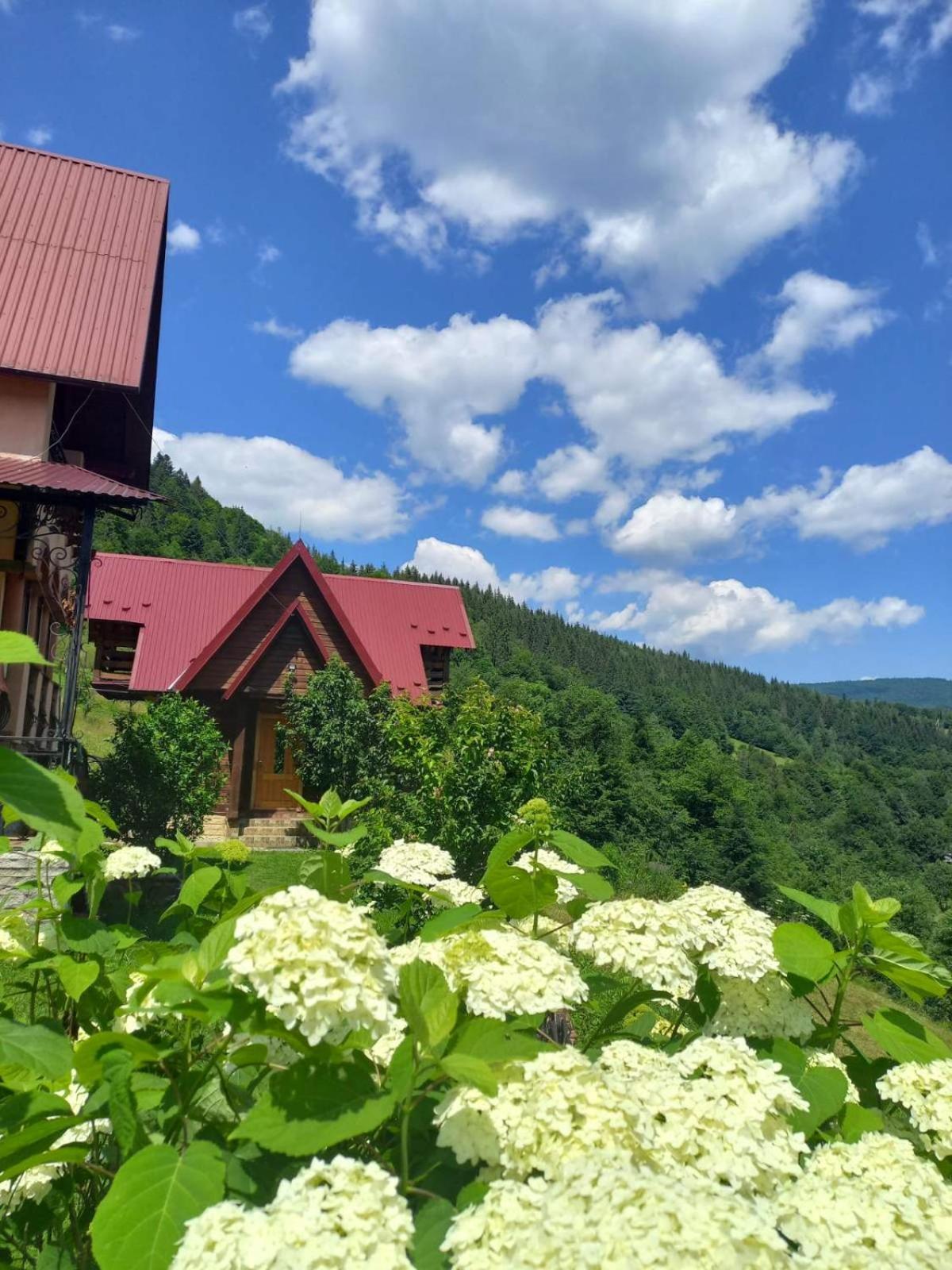Cottage "Karpatske Shale" Jaremcze Zewnętrze zdjęcie
