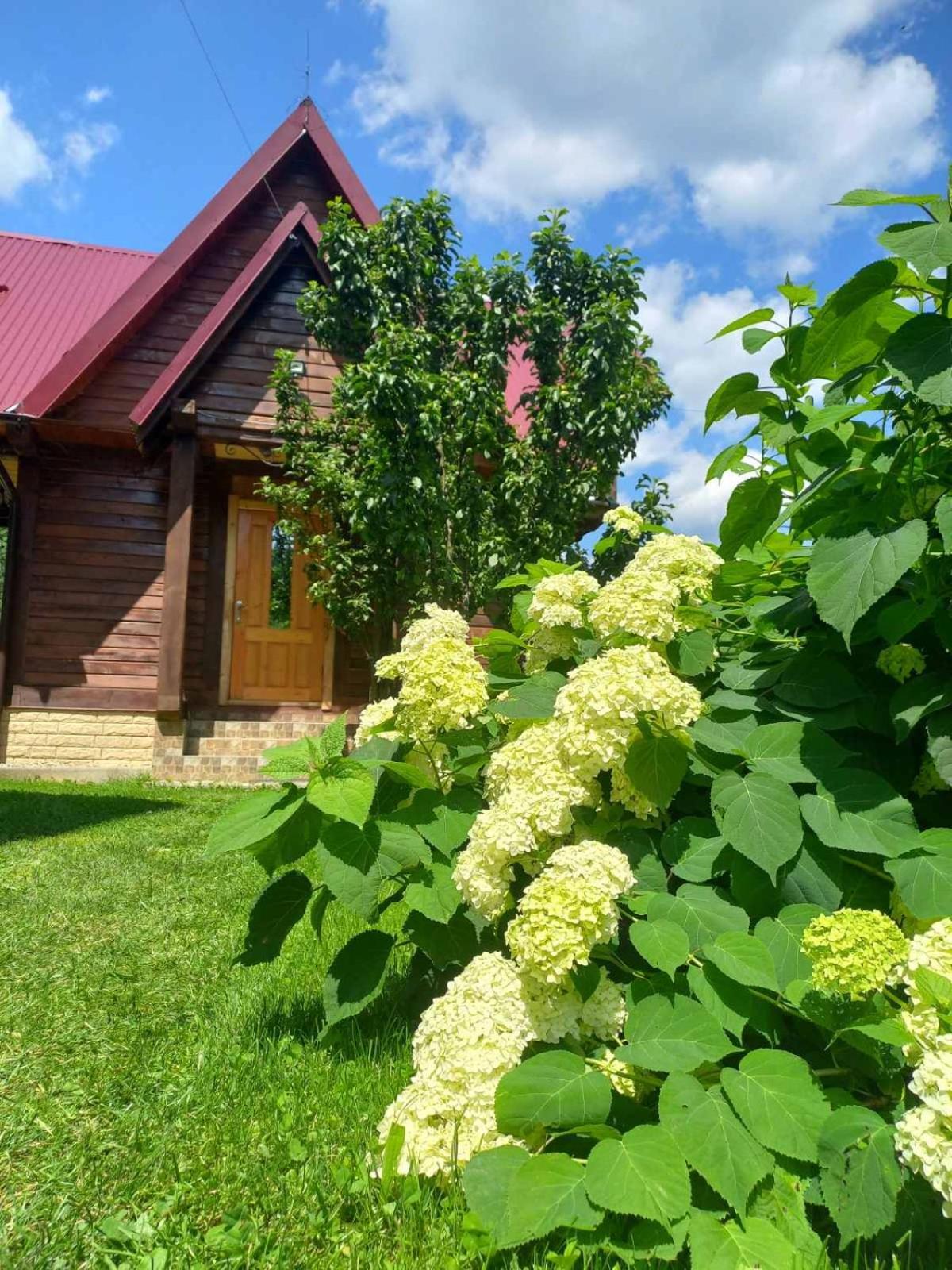 Cottage "Karpatske Shale" Jaremcze Zewnętrze zdjęcie